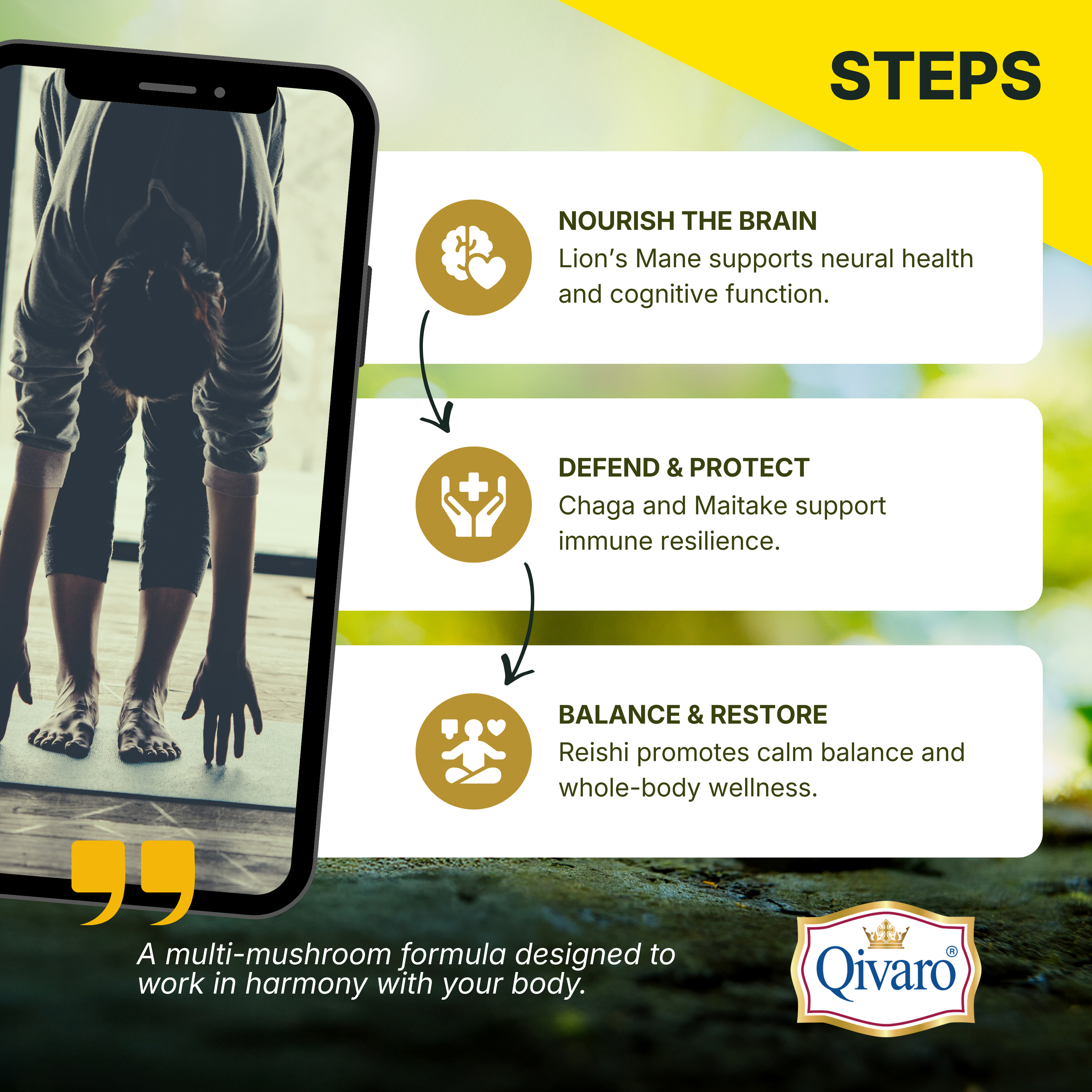 Complejo Melena de León Pro Salud | 60 Cápsulas Vegetales